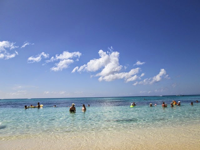 [IMG_0423%255B2%255D.jpg]