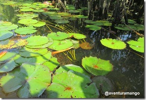 Rio Catu 2