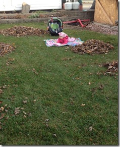 piles of leaves