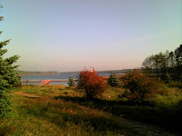 DSC00826.JPG Photo