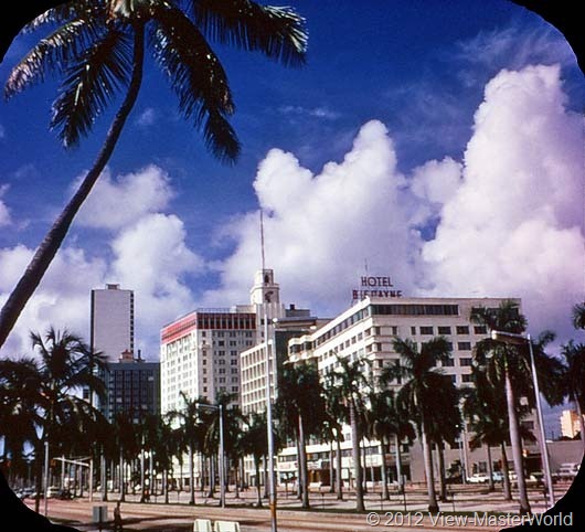 View-Master Miami and Miami Beach (A963), Scene 2: Biscayne Blvd
