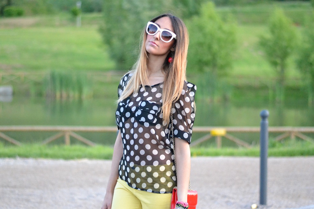 [DSC_0660%255B5%255D.jpg]