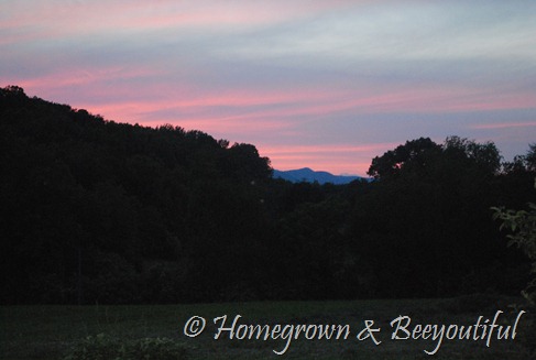 DSC_0111 DSC_0111