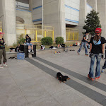 DSC00308.JPG