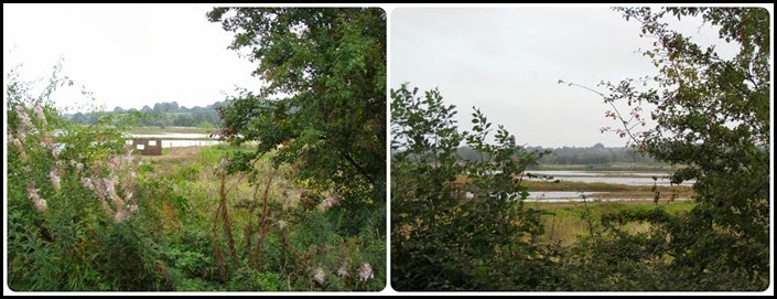 4 Nature reserve 4 Nature reserve