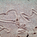 20100826_085_small.JPG