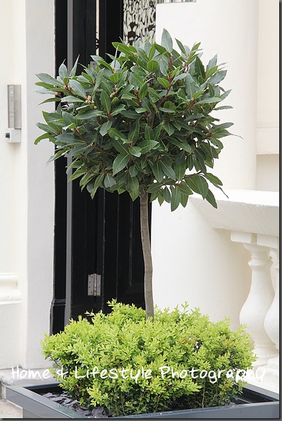 Home & Lifestyle Home & Lifestyle