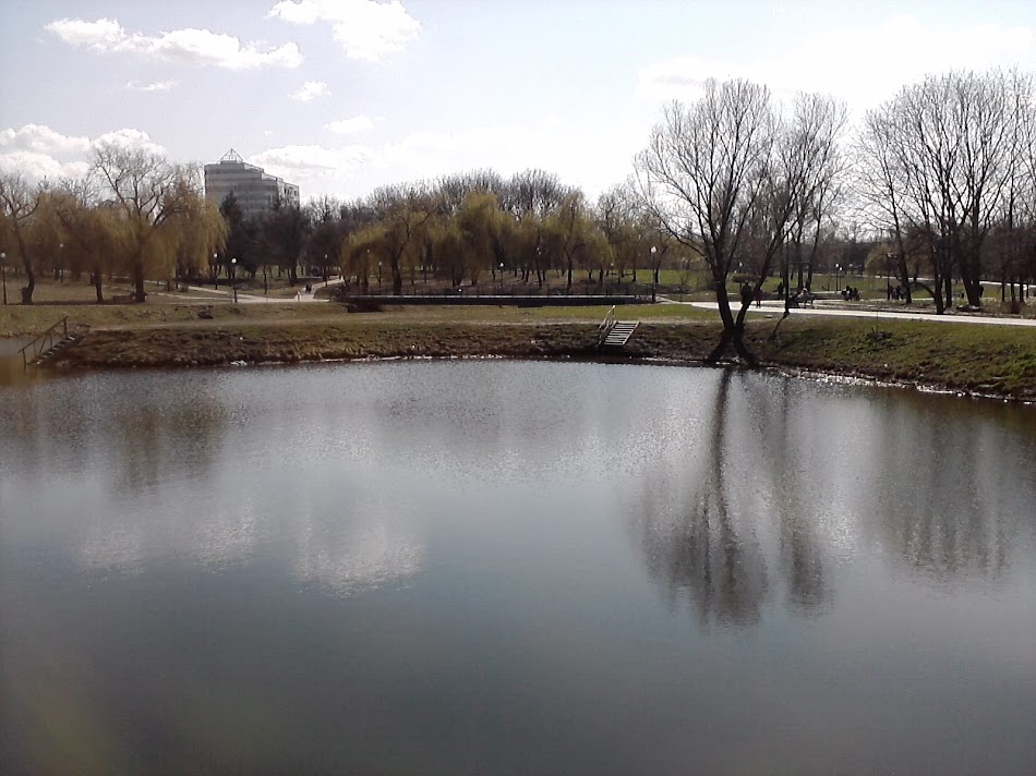 P160411_14.35.jpg