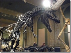 Kenosha Dinosaur Museum 025
