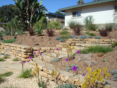 I stained the concrete to give it a more natural appearance. Re-using the concrete reduced cost and kept the material out of the local landfill