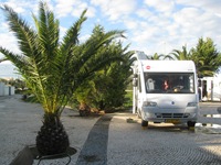 IMG_2779 IMG_2779
