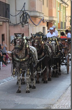 IMG_3635-re IMG_3635-re