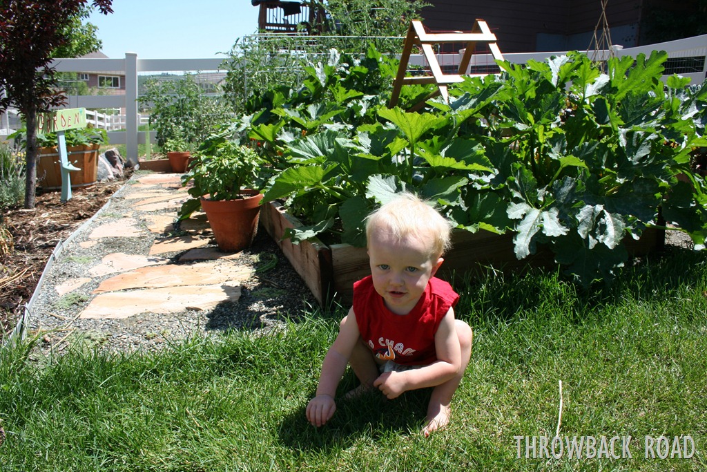 [garden%2520home%2520july%25202012%2520062%255B3%255D.jpg]