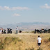 IMG_7565.JPG