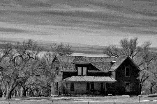 clip_image014 clip_image014