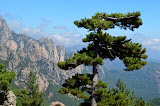 DSC_0296.JPG
