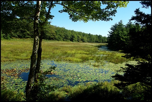 Witch Hole Pond, bike 3 stone bridges, 6 wooden 144