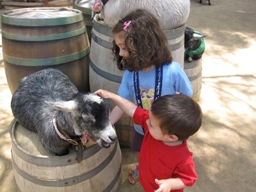 4190_113091001899_3069788_n