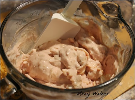 Many Waters Sour Cream Mixture