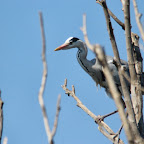 IMG_0946.JPG