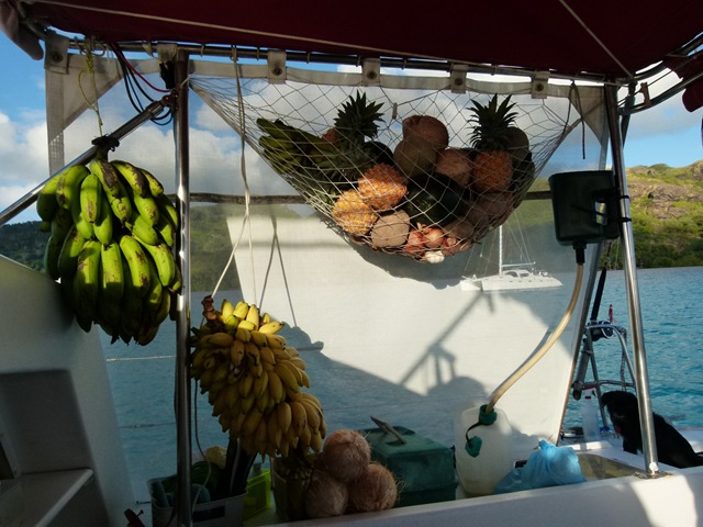 [P10205454.jpg]