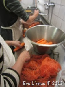 IMG_8313 IMG_8313