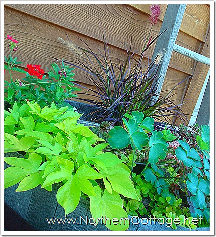 home 017 (2) home 017 (2)