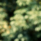IMG_0524_bearb.jpg