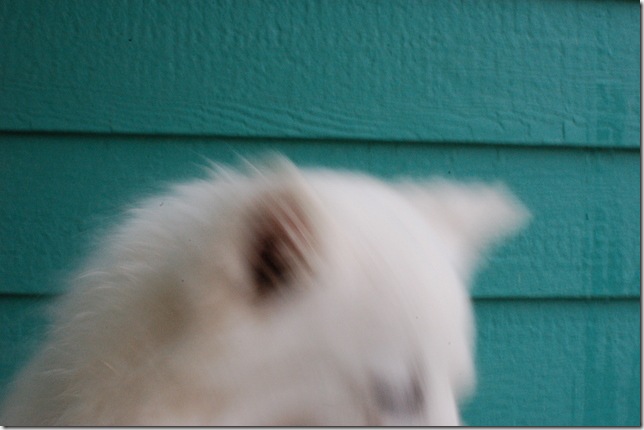 DSC_5518 DSC_5518