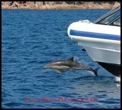 Cruise 051
