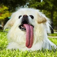 @ 10 curiosidades interessantes que provavelmente você não sabia @ 10 curiosidades interessantes que provavelmente você não sabia