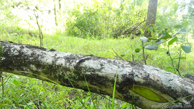[AmazingKeralatripday3212.jpg]