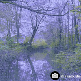 07 Vijver in het Welinkbos Dinxperlo.jpg