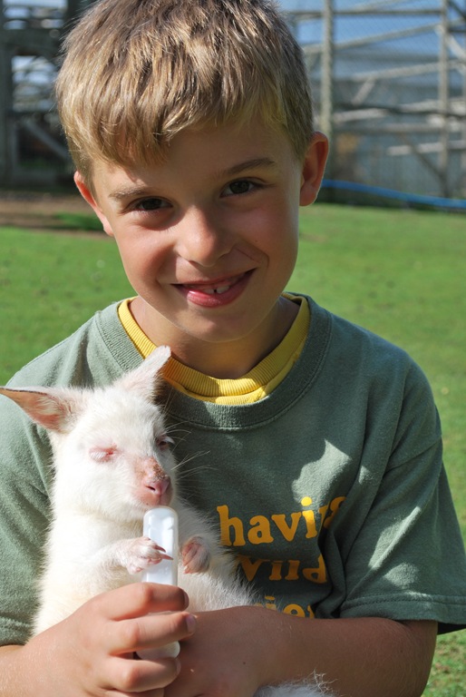 [DSC_0815%255B7%255D.jpg]