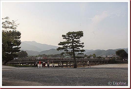 IMG_5088 IMG_5088