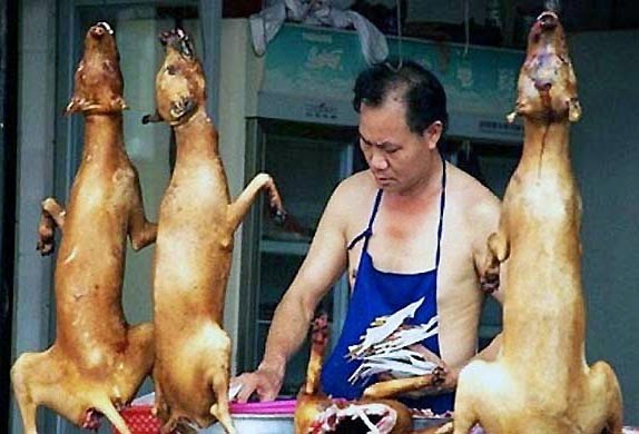 carne-di-cane-in-cina1 carne-di-cane-in-cina1