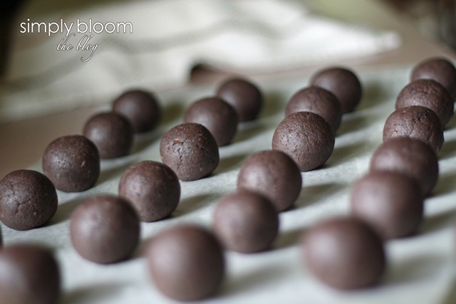 [chocolateballs4.jpg]