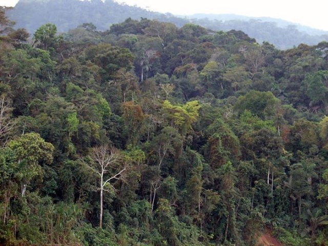 [beautiful-amazon-rain-forest-27%255B2%255D.jpg]