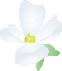 ico_hanamizuki_6 ico_hanamizuki_6
