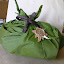 Green-brown package.JPG