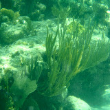 P5280627(rev 0).jpg