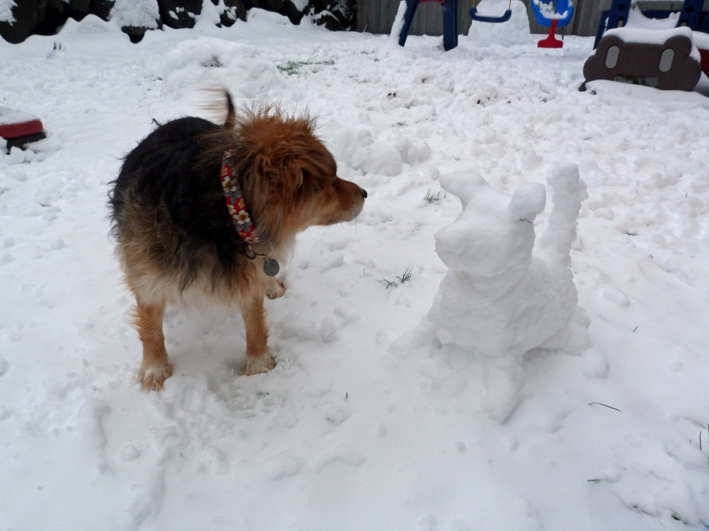 [Snowpocalypse-2012-34.jpg]