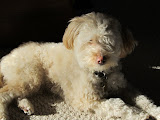 IMG_0034.JPG
