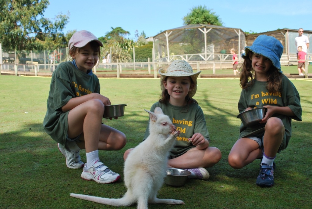 [DSC_0857%255B7%255D.jpg]