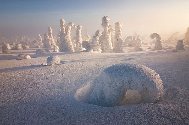 Sentinels-of-the-Arctic-4 Sentinels-of-the-Arctic-4