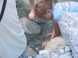 IMG_1234.JPG