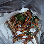 Koh Chang - DSCN3433.JPG