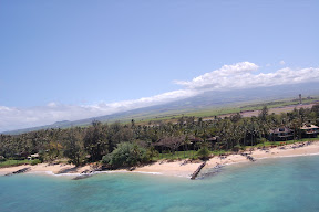 DSC_1229.JPG