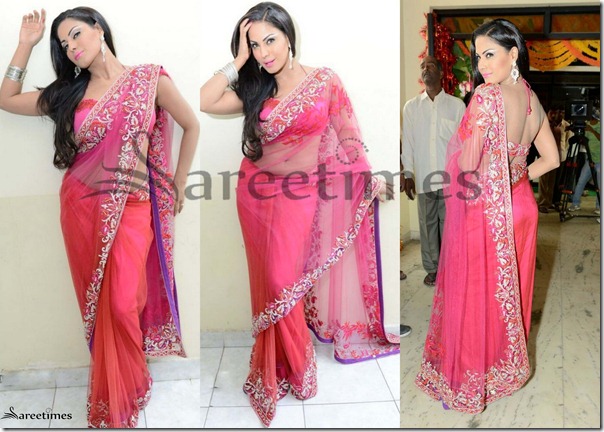 Veena_Malik_Pink_Saree