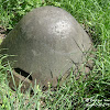 dsc06797.jpg